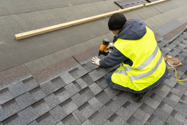 Best Roof Gutter Cleaning  in Elton, LA