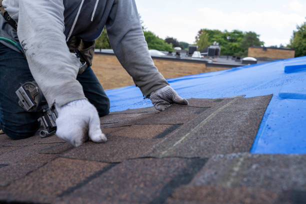 Quick and Trustworthy Emergency Roof Repair Services in Elton, LA